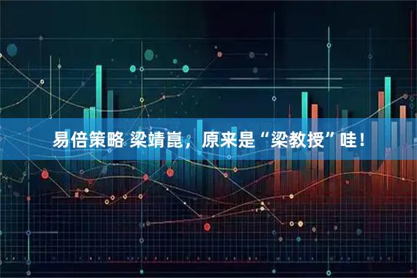 易倍策略 梁靖崑，原来是“梁教授”哇！